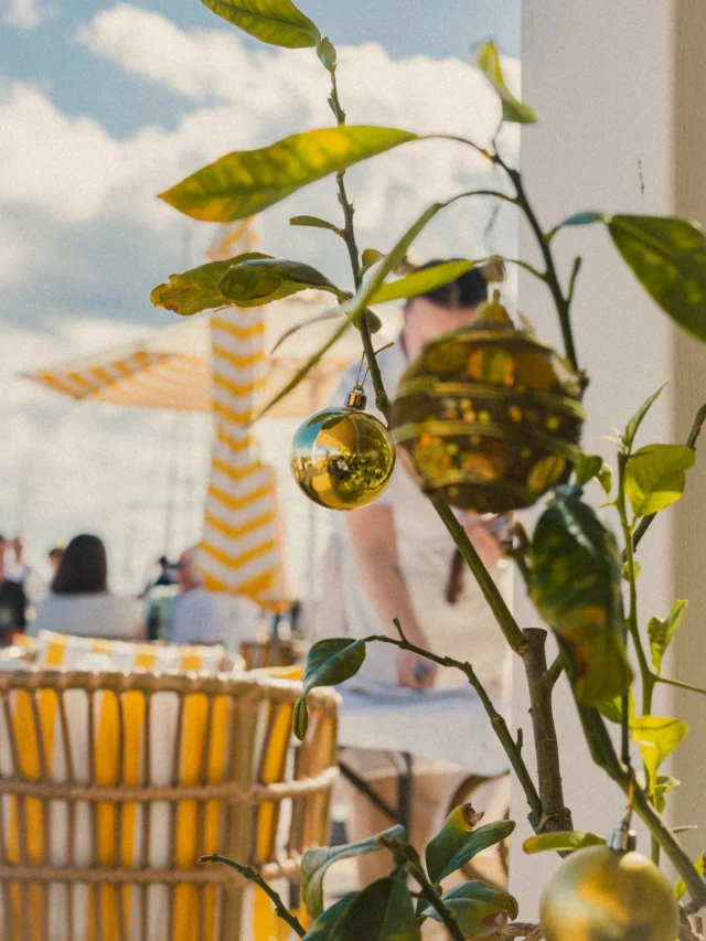 La Navidad va llegando a Armonía, que se va vistiendo para la ocasión ( y nos ha quedado precioso 🫣)
Las gambas cantan villancicos de lo frescas que están. 🎶
Crecen bolas de navidad en nuestros limoneros.🍋🎄
E incluso hay quien dice que ha visto a Santa que ha parado un momento a tomarse un Armonía Spritz en nuestra terraza🎅🏻🍸
Si quieres celebrar, como Santa, tu navidad en Armonía, echa un vistazo a nuestros menús especiales para estas fiestas.
🤍💛🤍💛