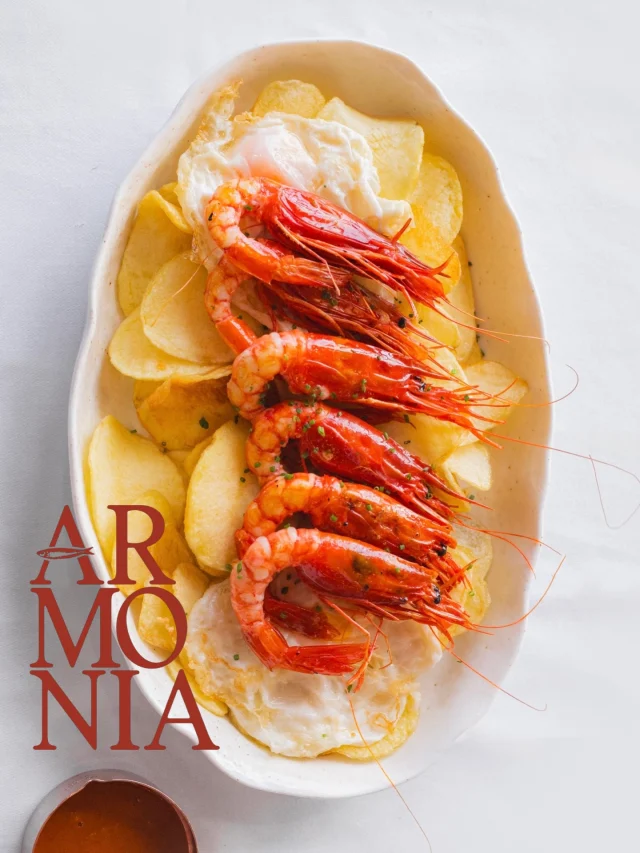 Ya es tiempo de mar.

En Armonía Beach Club el mar no solo se contempla, se vive en cada detalle. Está en los sabores que llegan al plato, en la brisa que acompaña la mesa, en las vistas abiertas al horizonte y en una forma de entender cada momento con calma, luz y disfrute.

Aquí todo nace de esa conexión natural con el agua: la cocina, el entorno y la atmósfera.

Porque hay lugares que miran al mar. Y otros que forman parte de él.