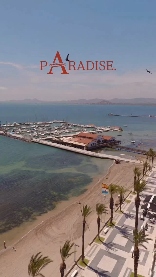 This is ARMONÍA Beach Club.
💛🤍🅰️💛🤍